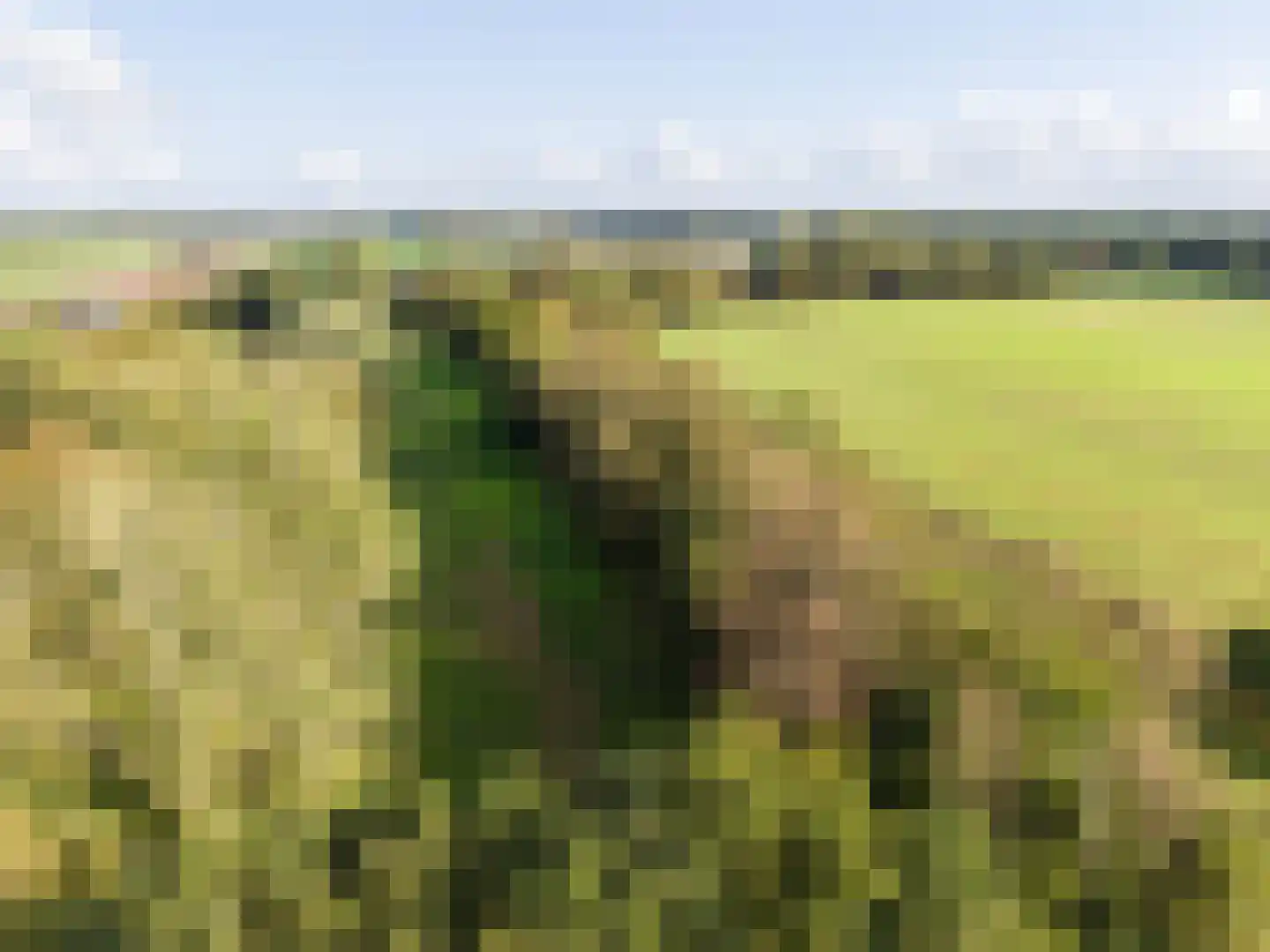 Harichsterdyk 74 Harich thumbnail 115