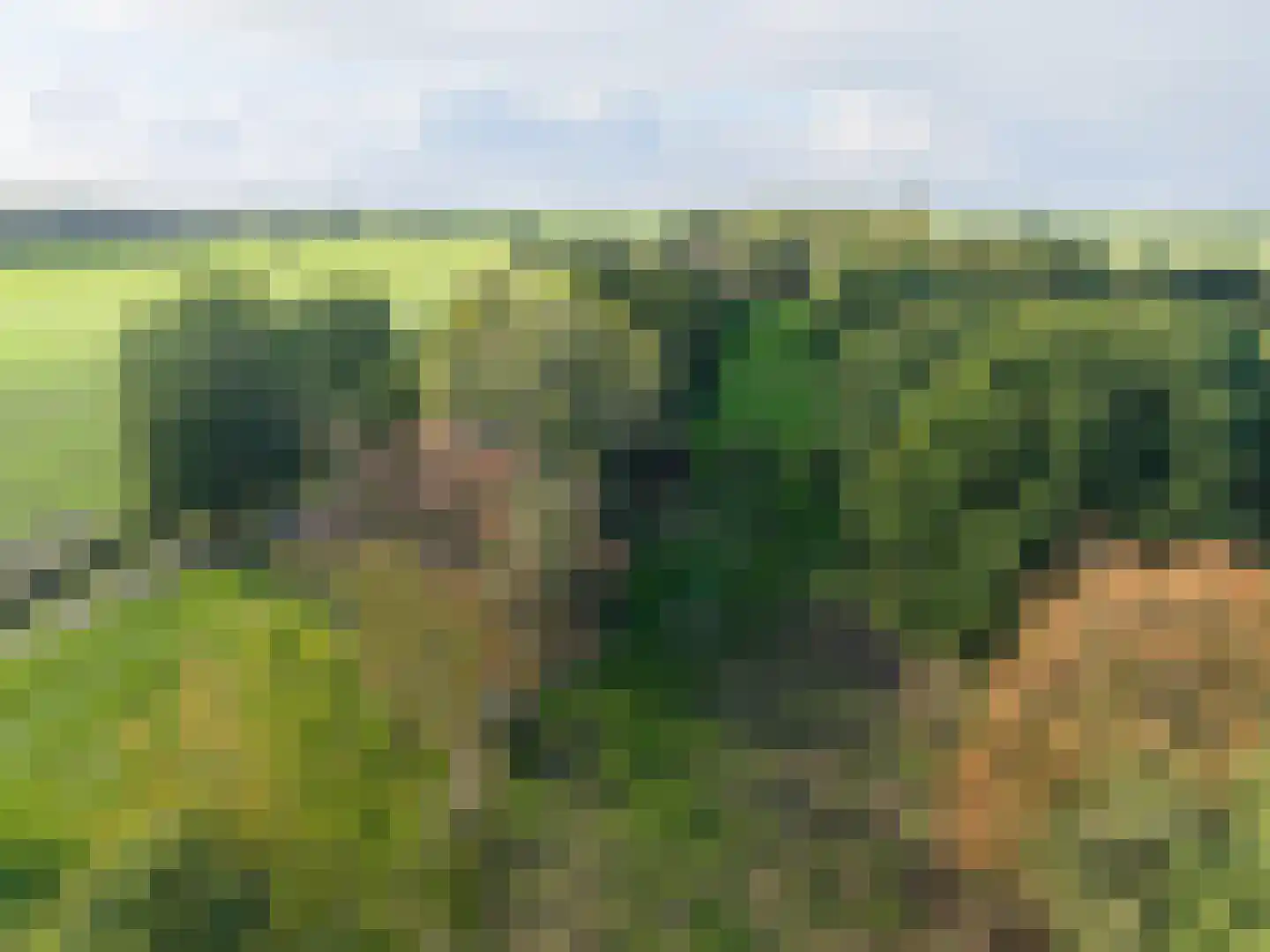 Harichsterdyk 74 Harich thumbnail 116