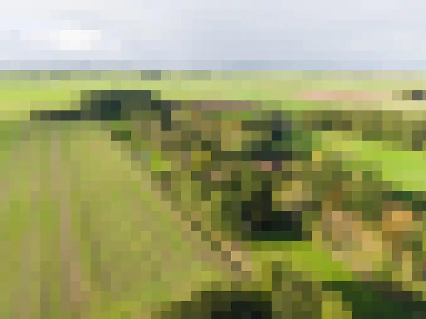 Harichsterdyk 74 Harich thumbnail 117