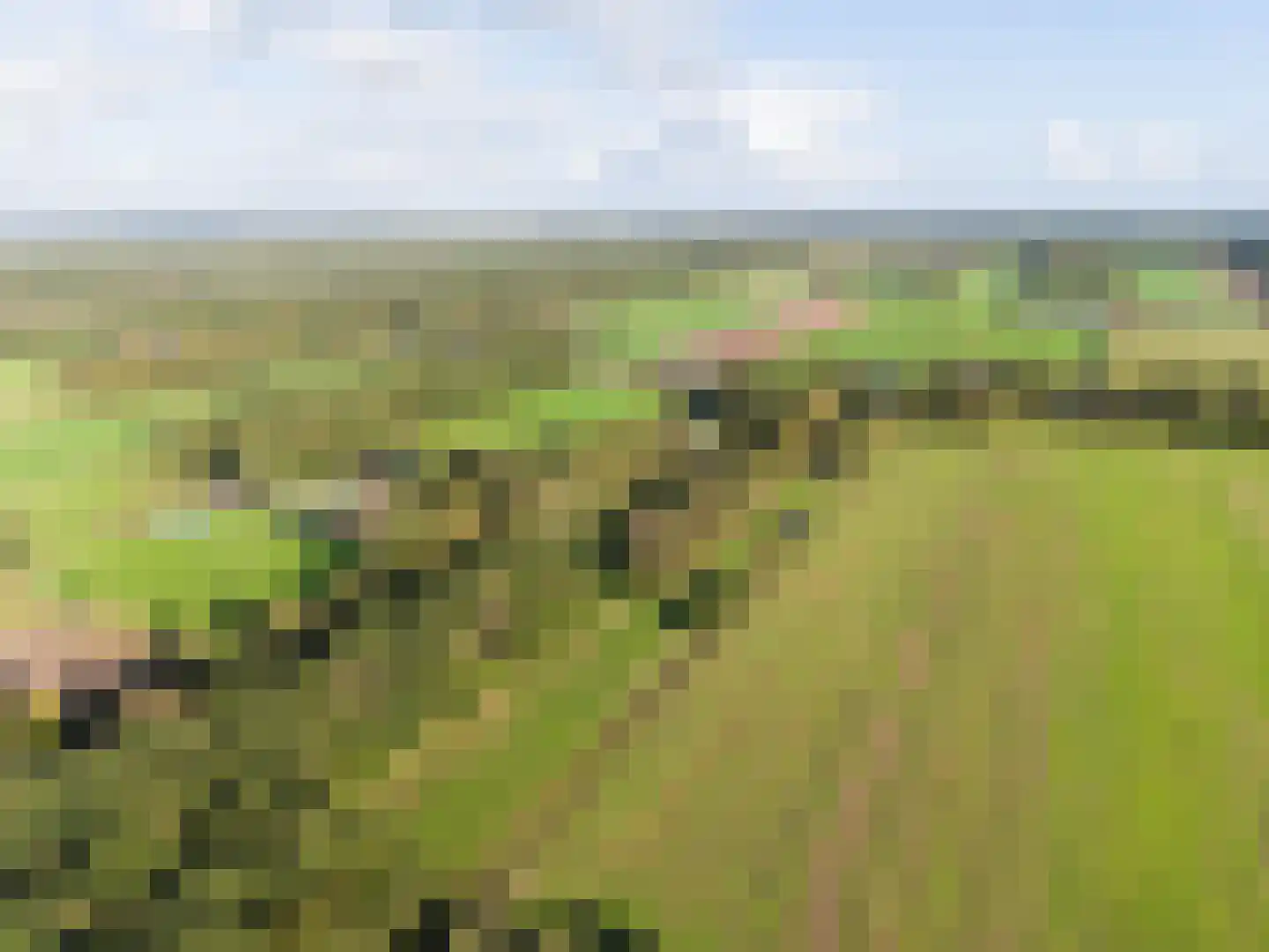 Harichsterdyk 74 Harich thumbnail 118