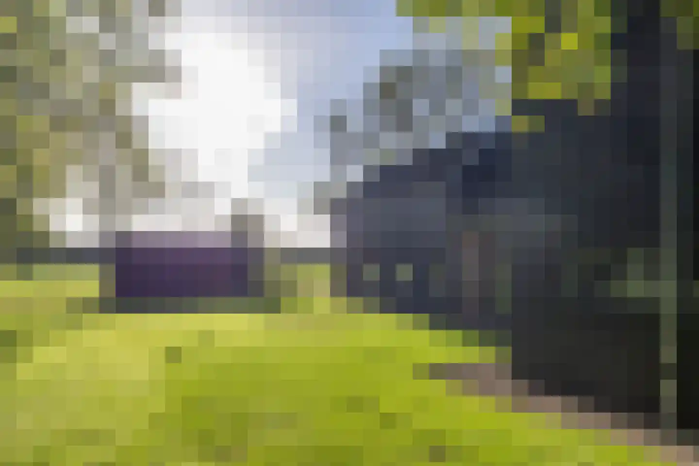 Harichsterdyk 74 Harich thumbnail 16