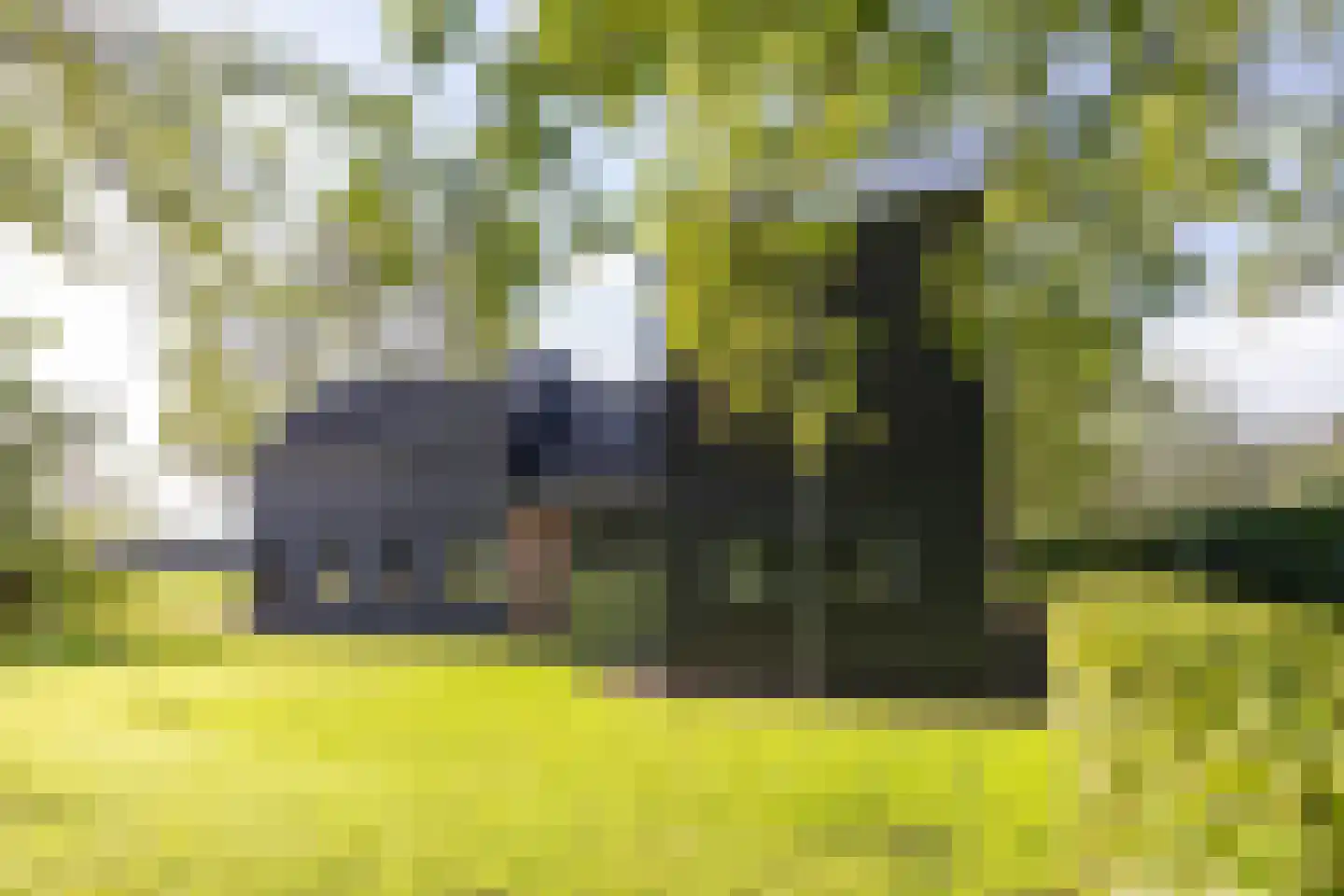 Harichsterdyk 74 Harich thumbnail 17
