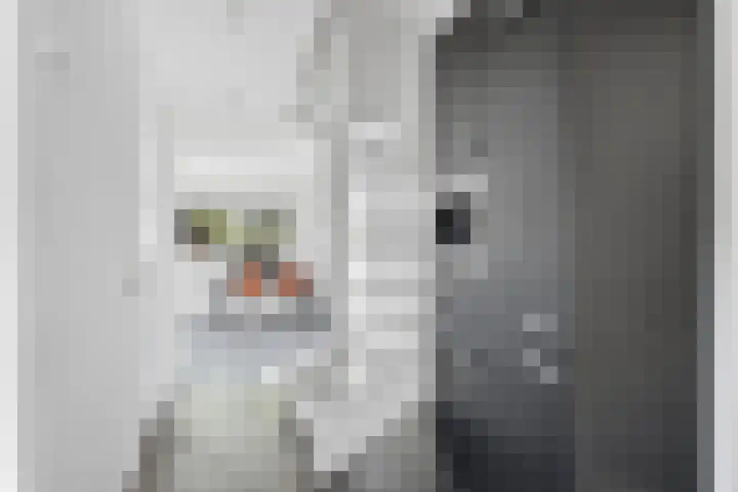 Harichsterdyk 74 Harich thumbnail 22