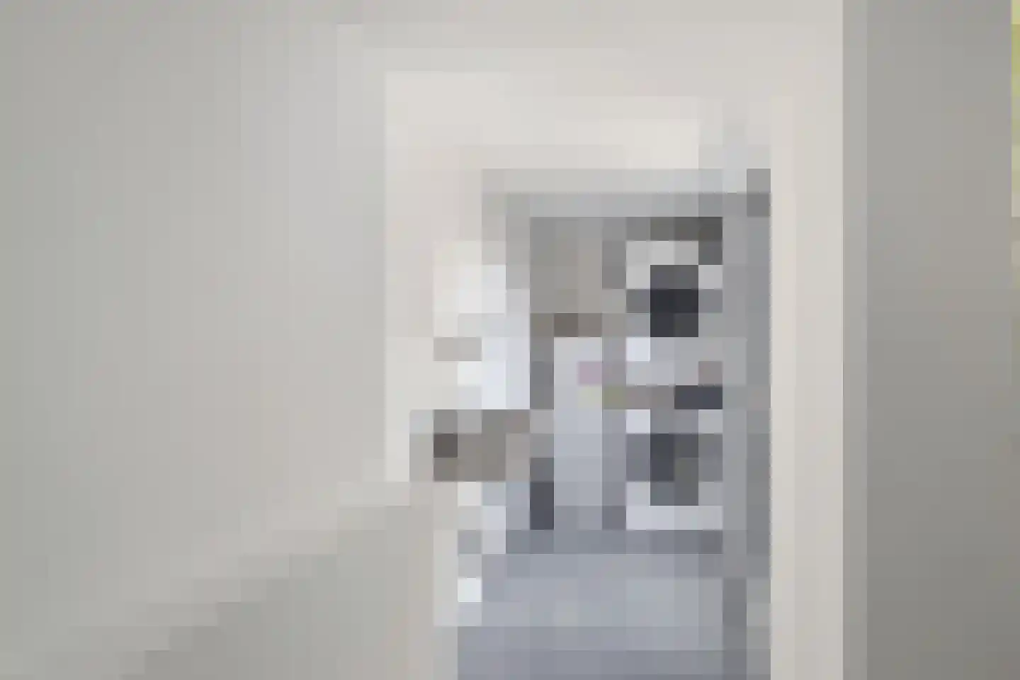 Harichsterdyk 74 Harich thumbnail 34