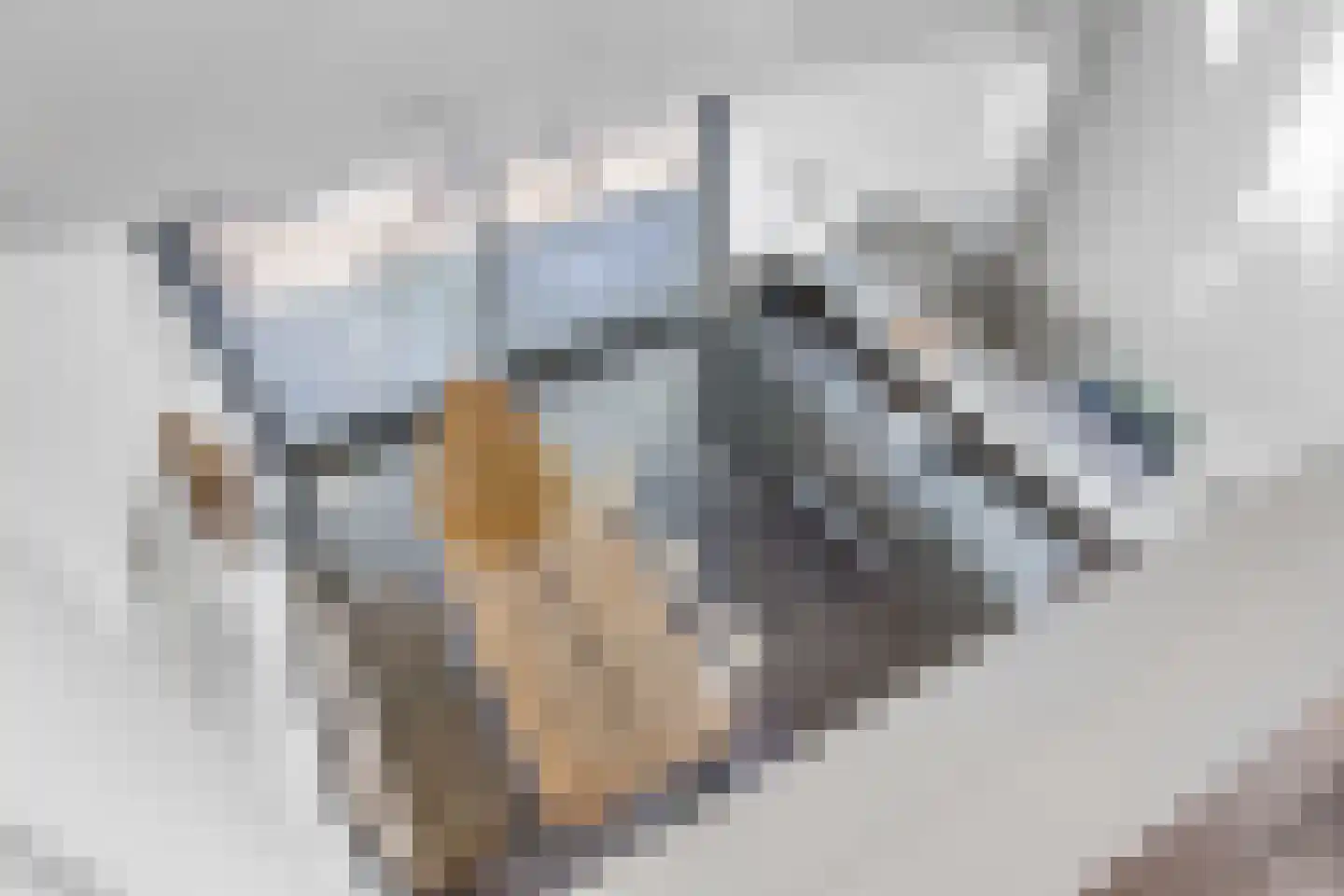 Harichsterdyk 74 Harich thumbnail 36