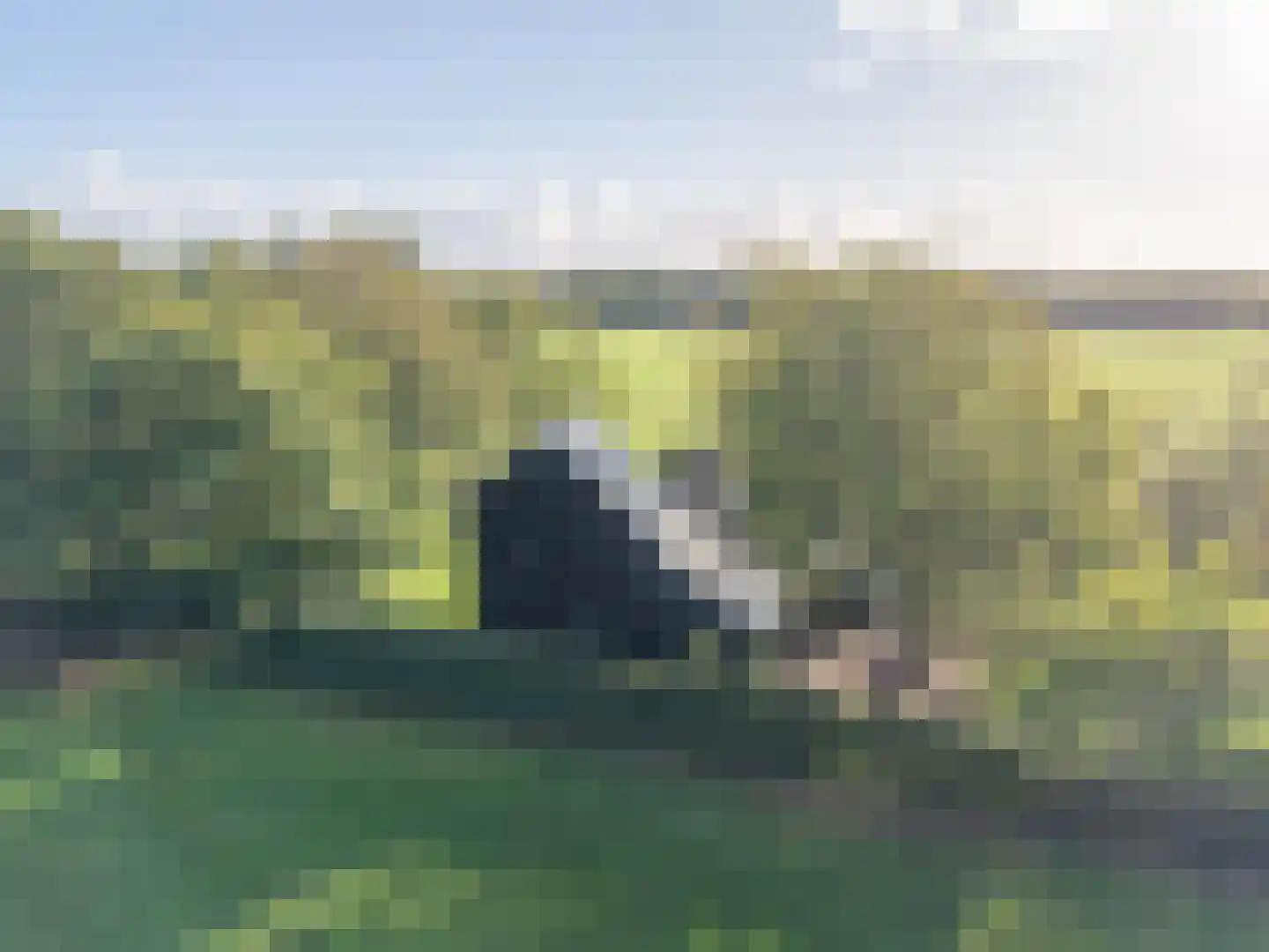 Harichsterdyk 74 Harich thumbnail 4