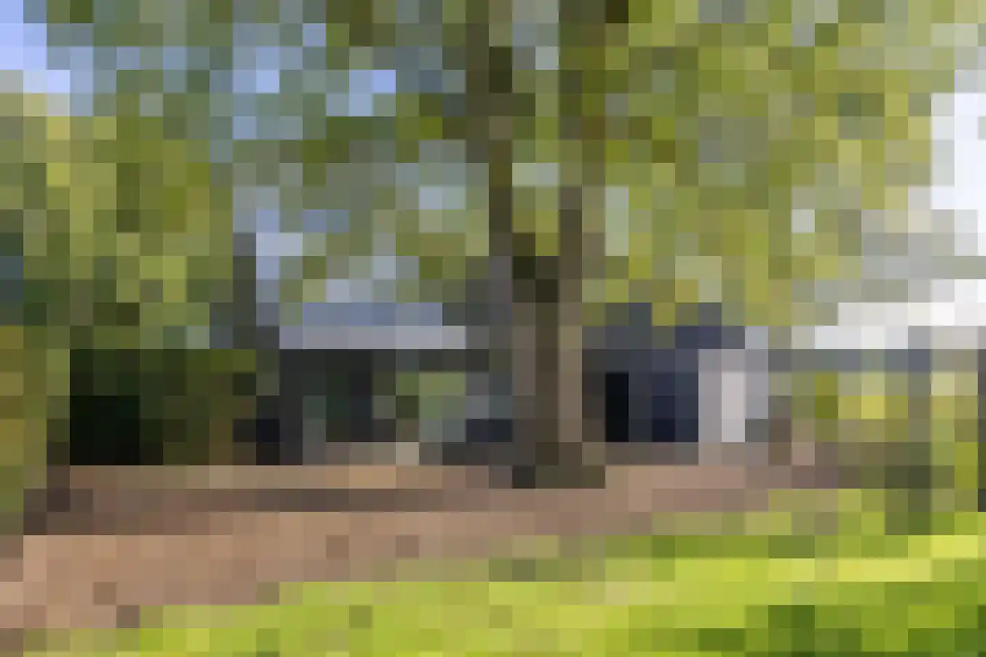 Harichsterdyk 74 Harich thumbnail 47