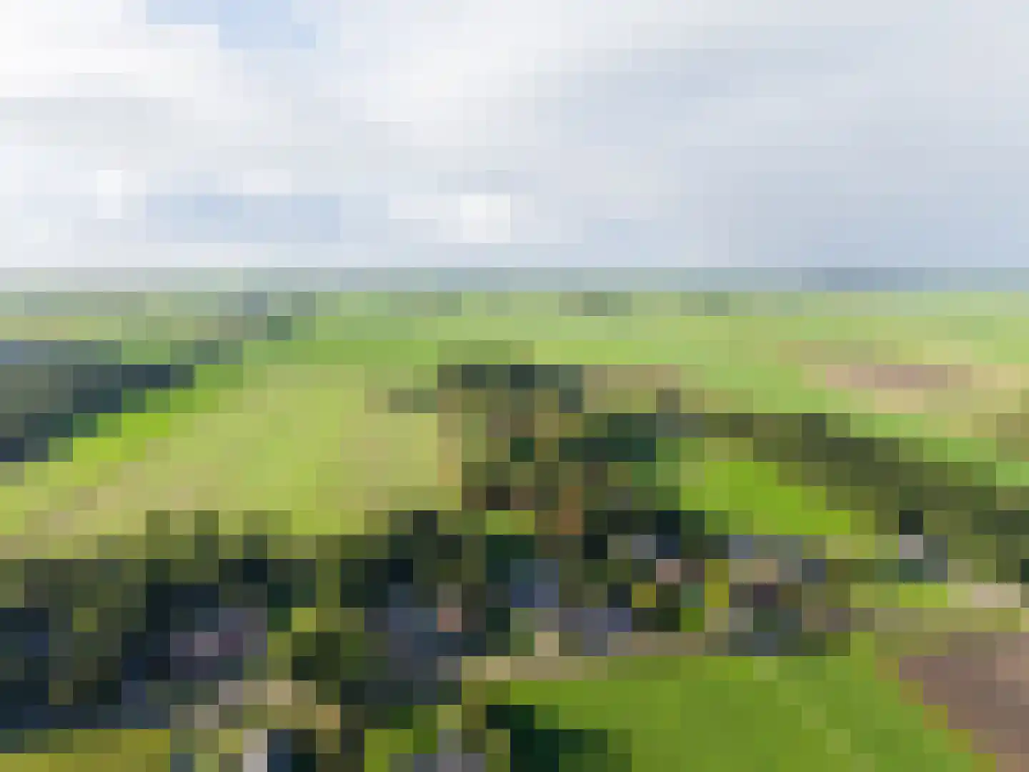 Harichsterdyk 74 Harich thumbnail 5