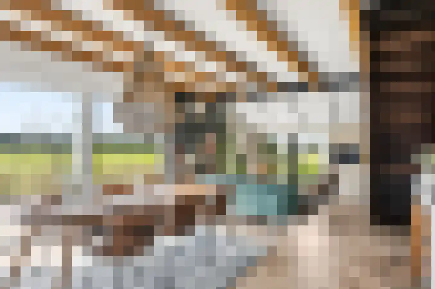 Harichsterdyk 74 Harich thumbnail 58