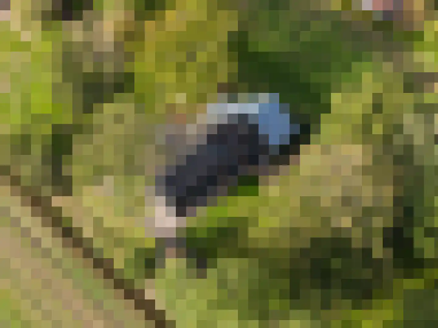 Harichsterdyk 74 Harich thumbnail 6