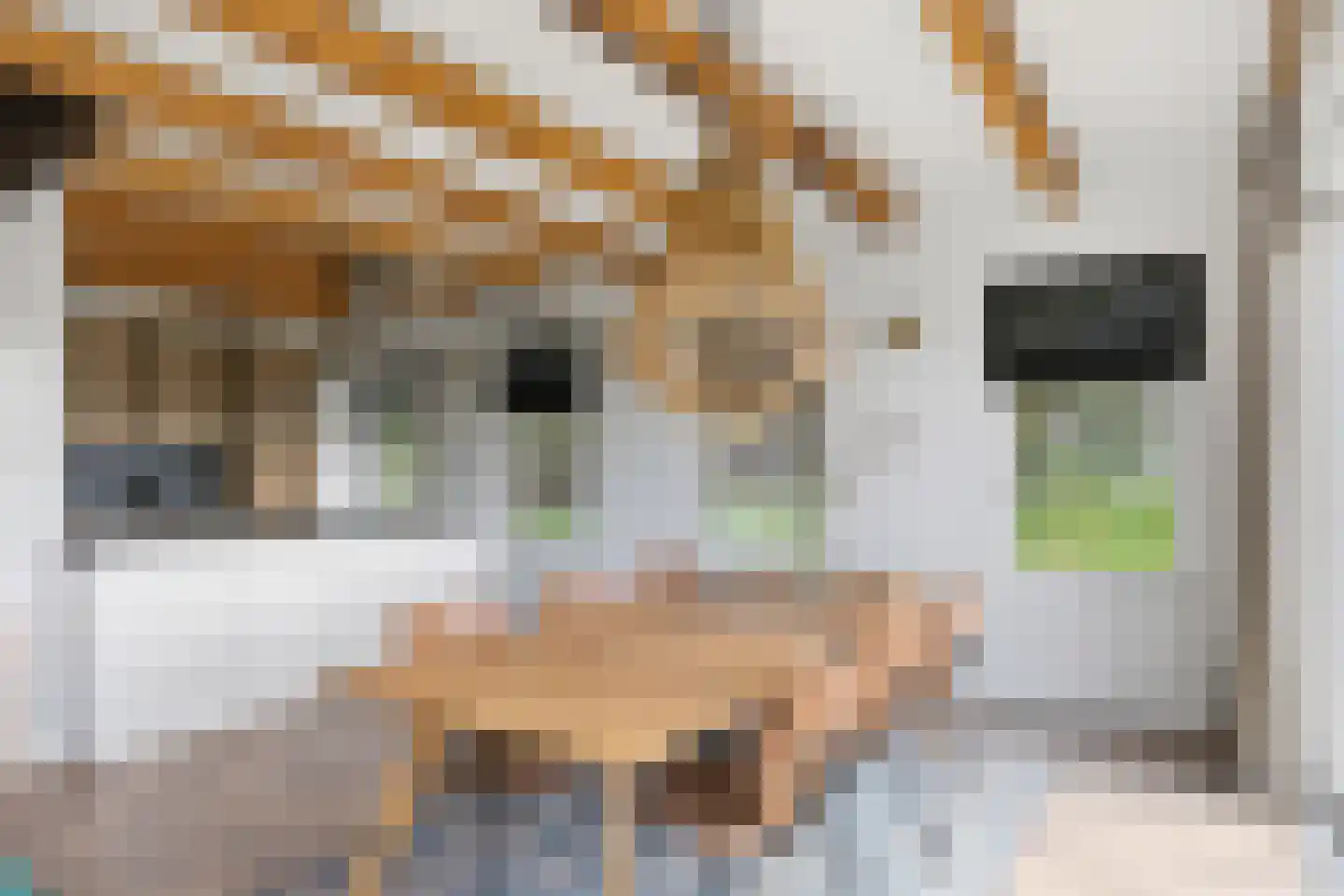 Harichsterdyk 74 Harich thumbnail 63