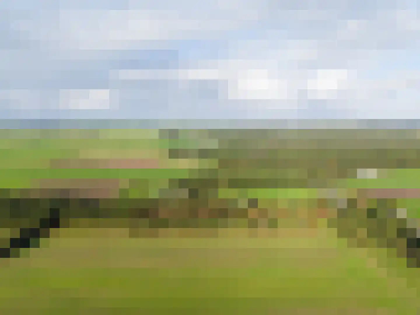 Harichsterdyk 74 Harich thumbnail 7