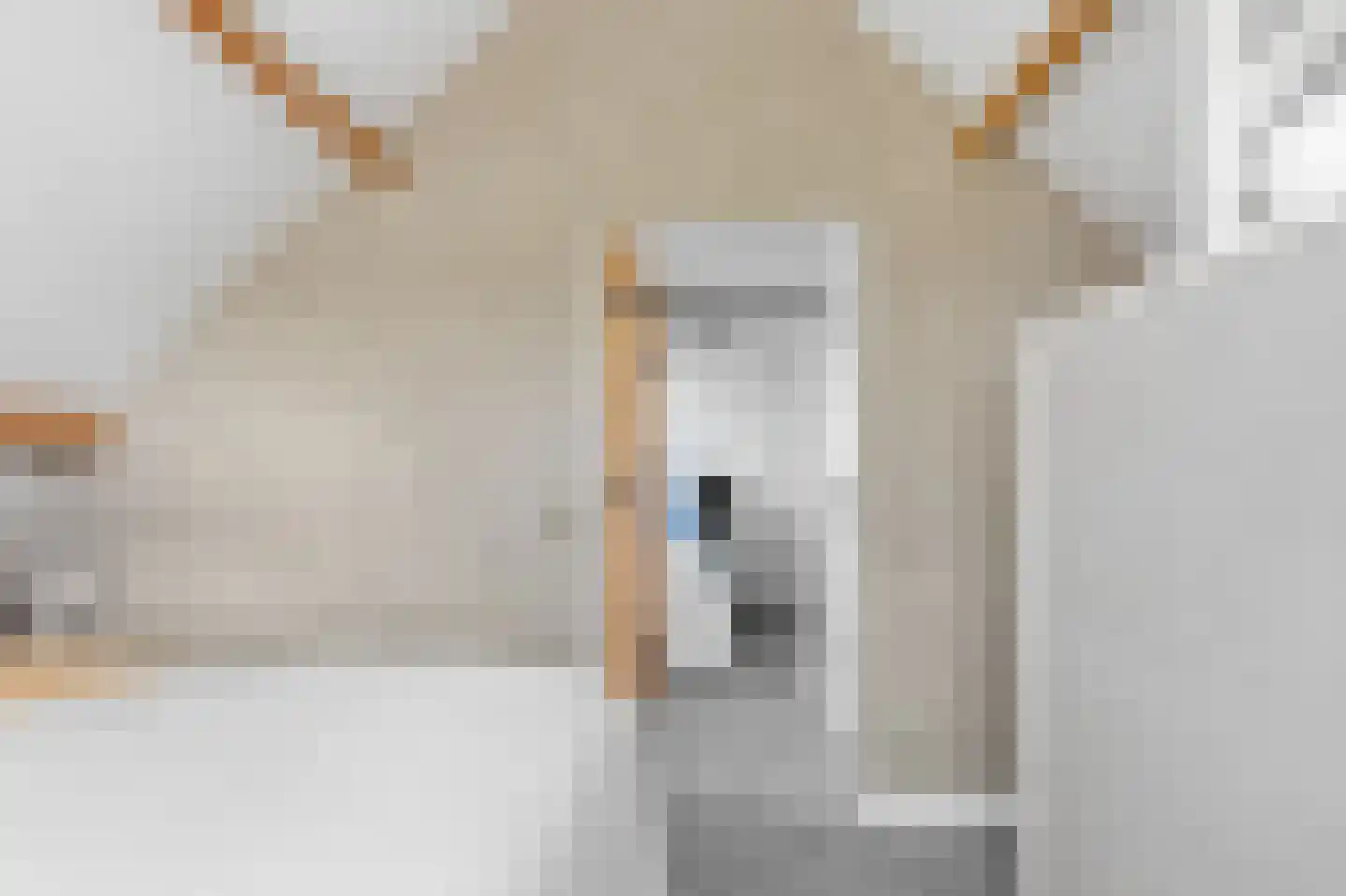 Harichsterdyk 74 Harich thumbnail 76