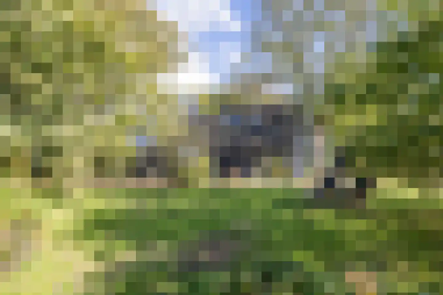 Harichsterdyk 74 Harich thumbnail 80