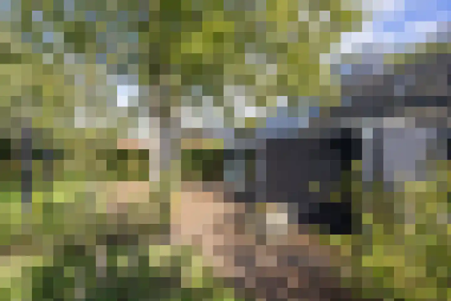 Harichsterdyk 74 Harich thumbnail 81