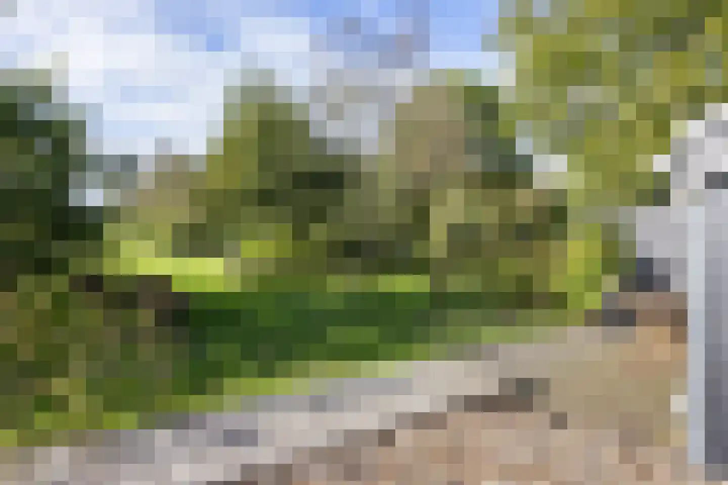 Harichsterdyk 74 Harich thumbnail 83