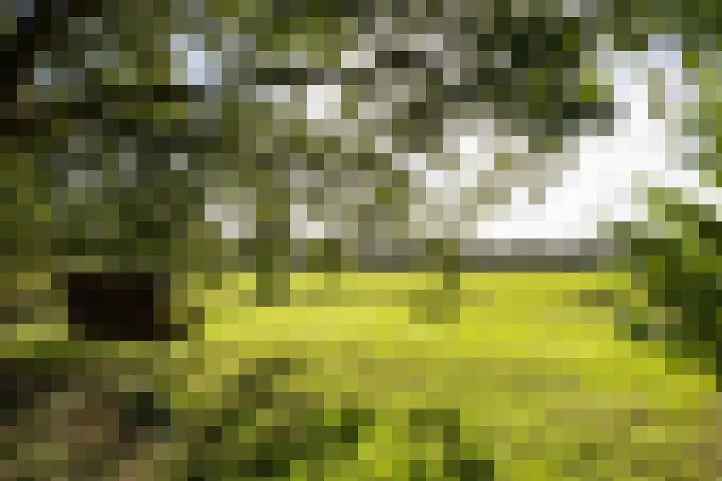 Harichsterdyk 74 Harich thumbnail 84
