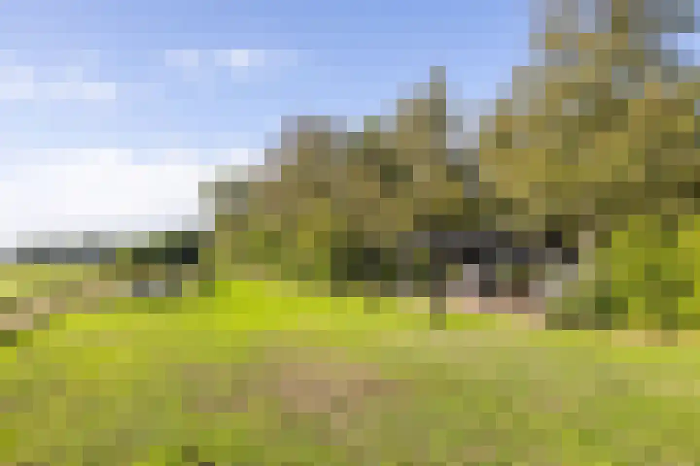 Harichsterdyk 74 Harich thumbnail 85