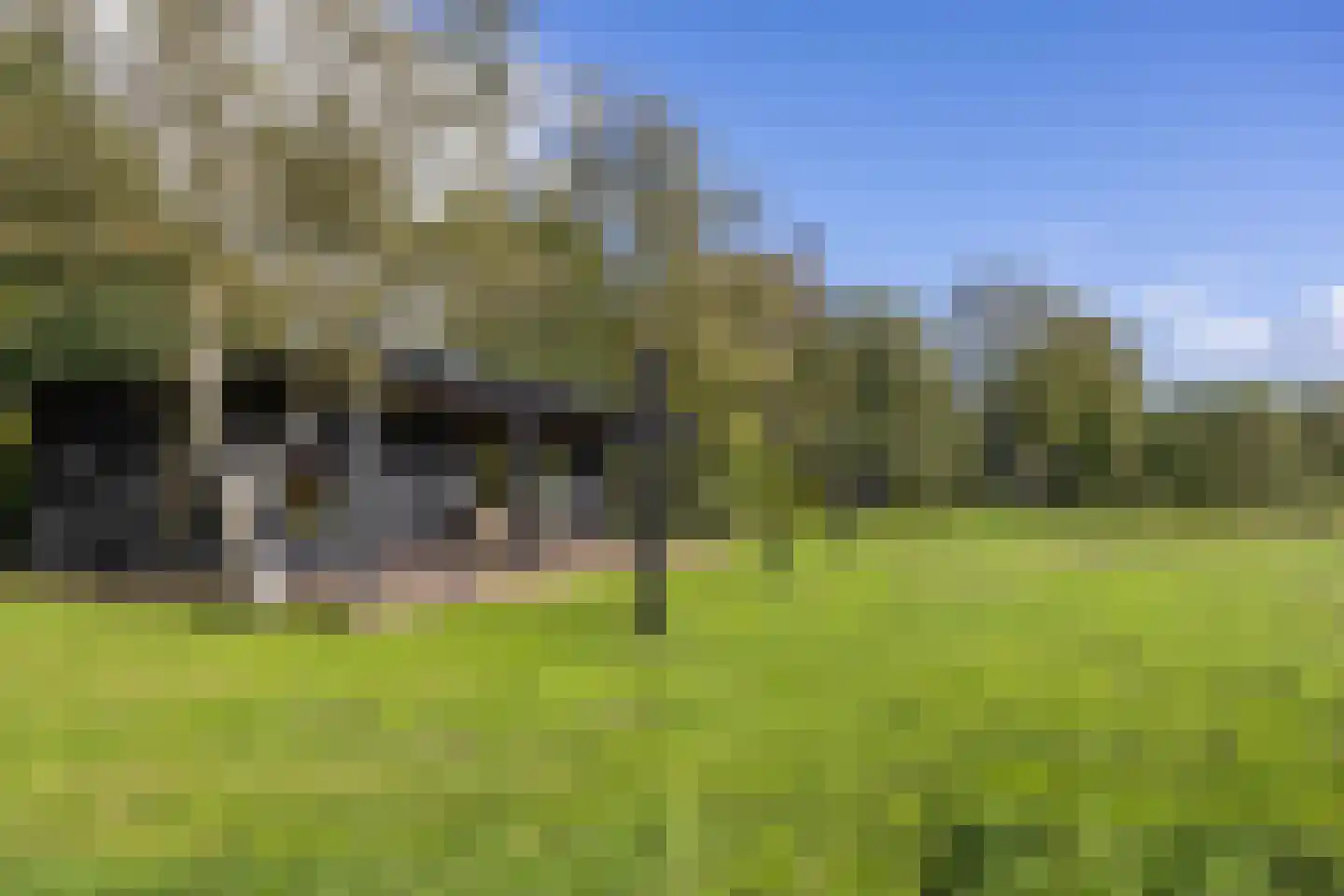 Harichsterdyk 74 Harich thumbnail 86