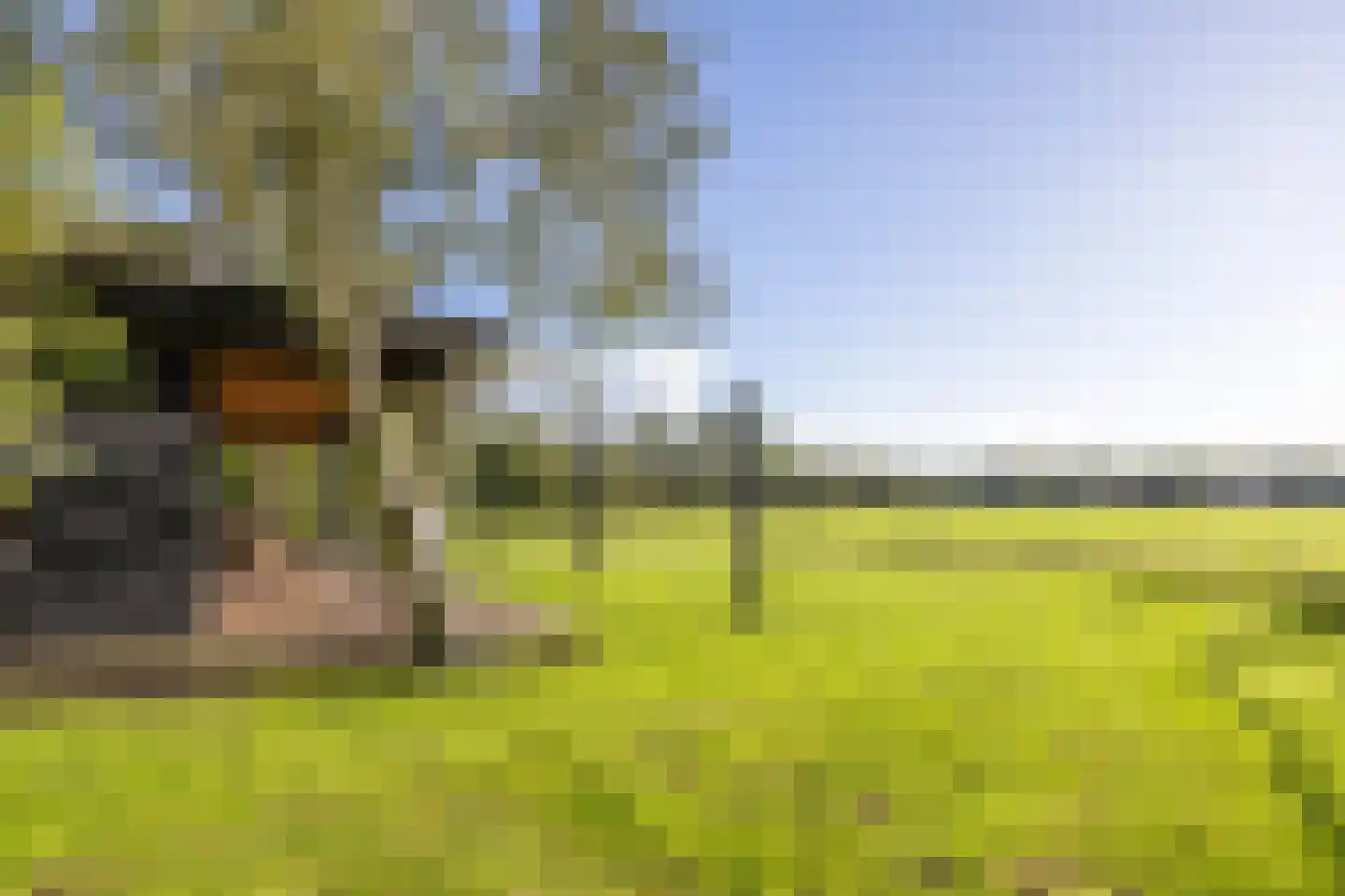 Harichsterdyk 74 Harich thumbnail 87