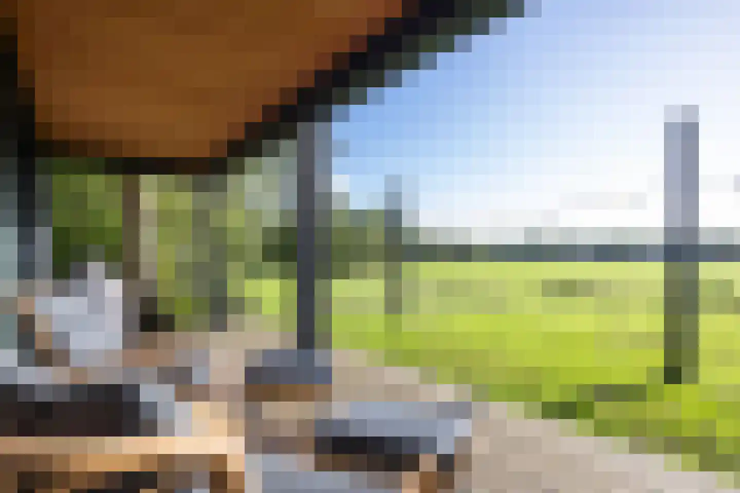 Harichsterdyk 74 Harich thumbnail 89