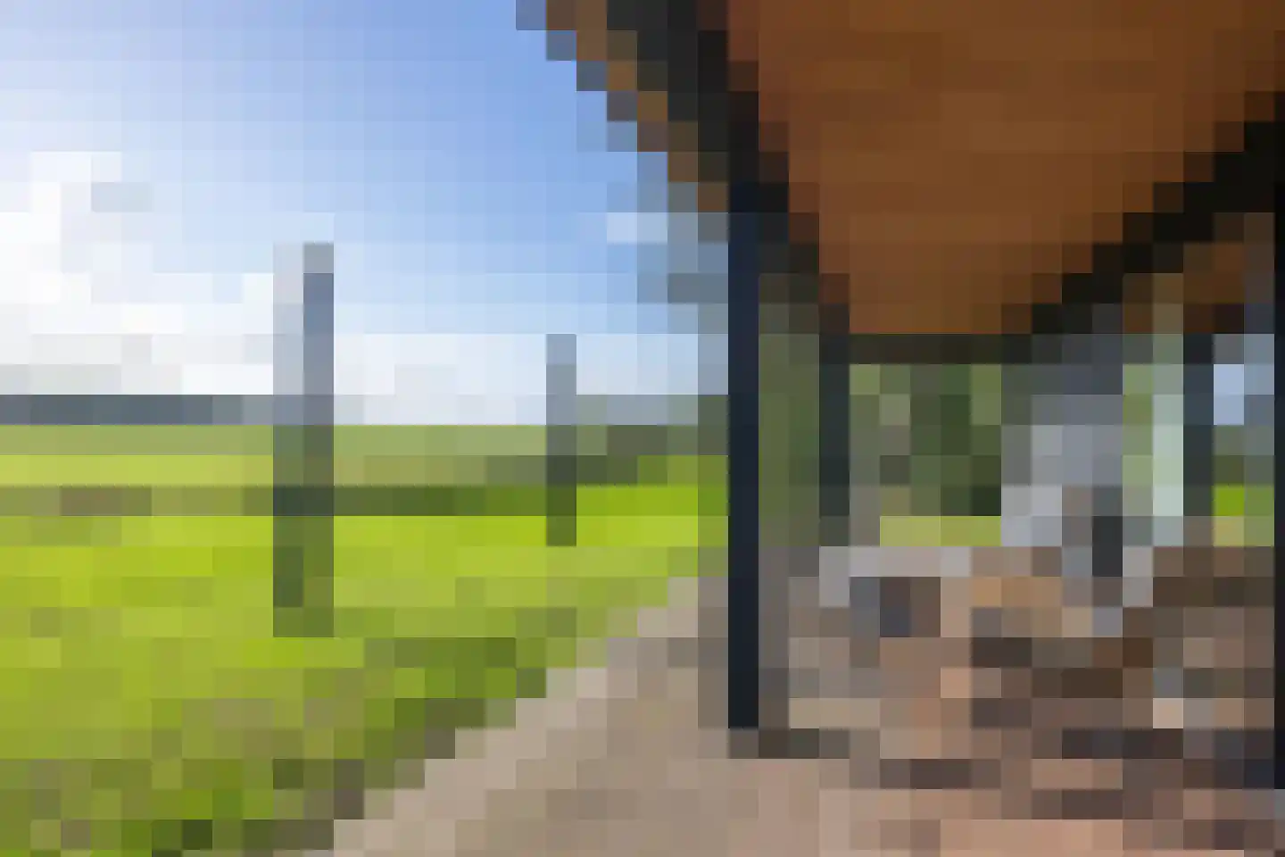 Harichsterdyk 74 Harich thumbnail 90