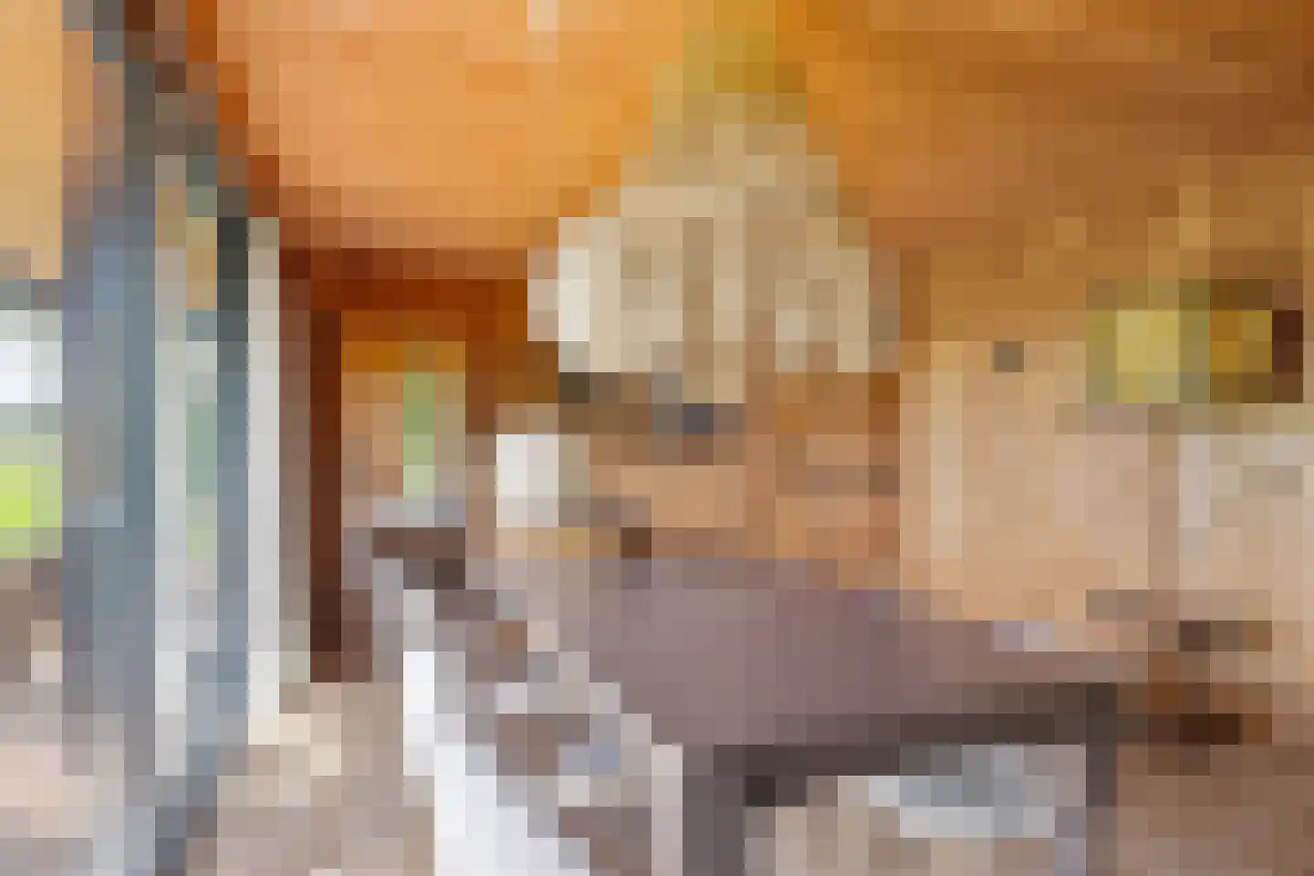 Harichsterdyk 74 Harich thumbnail 93