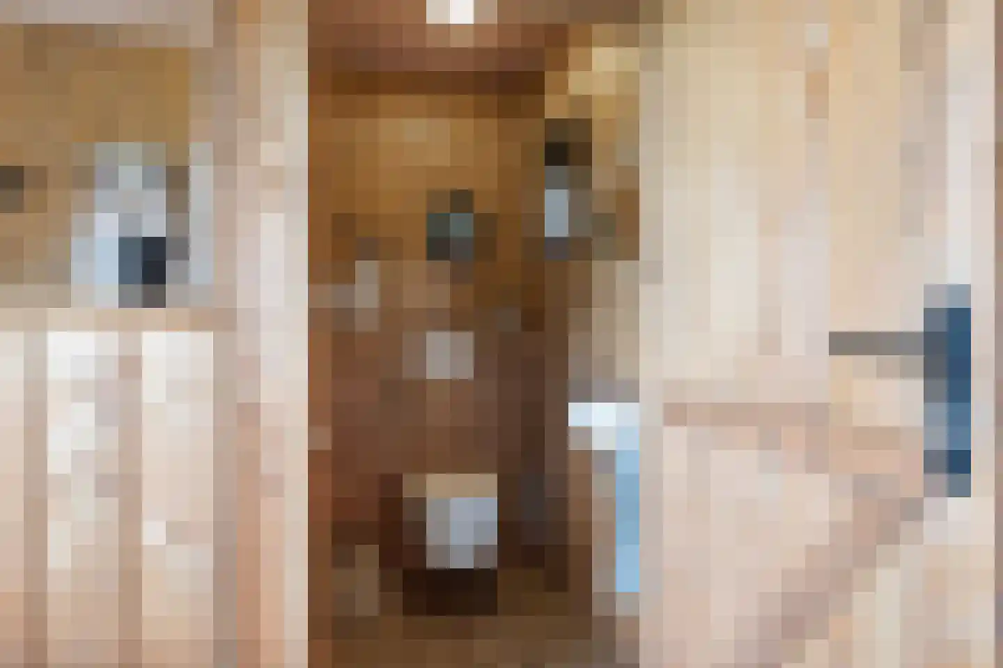 Harichsterdyk 74 Harich thumbnail 95
