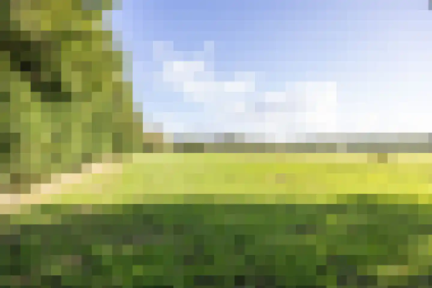 Harichsterdyk 74 Harich thumbnail 99