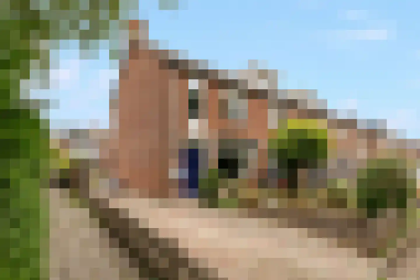 Haring 1 Hellevoetsluis thumbnail 11