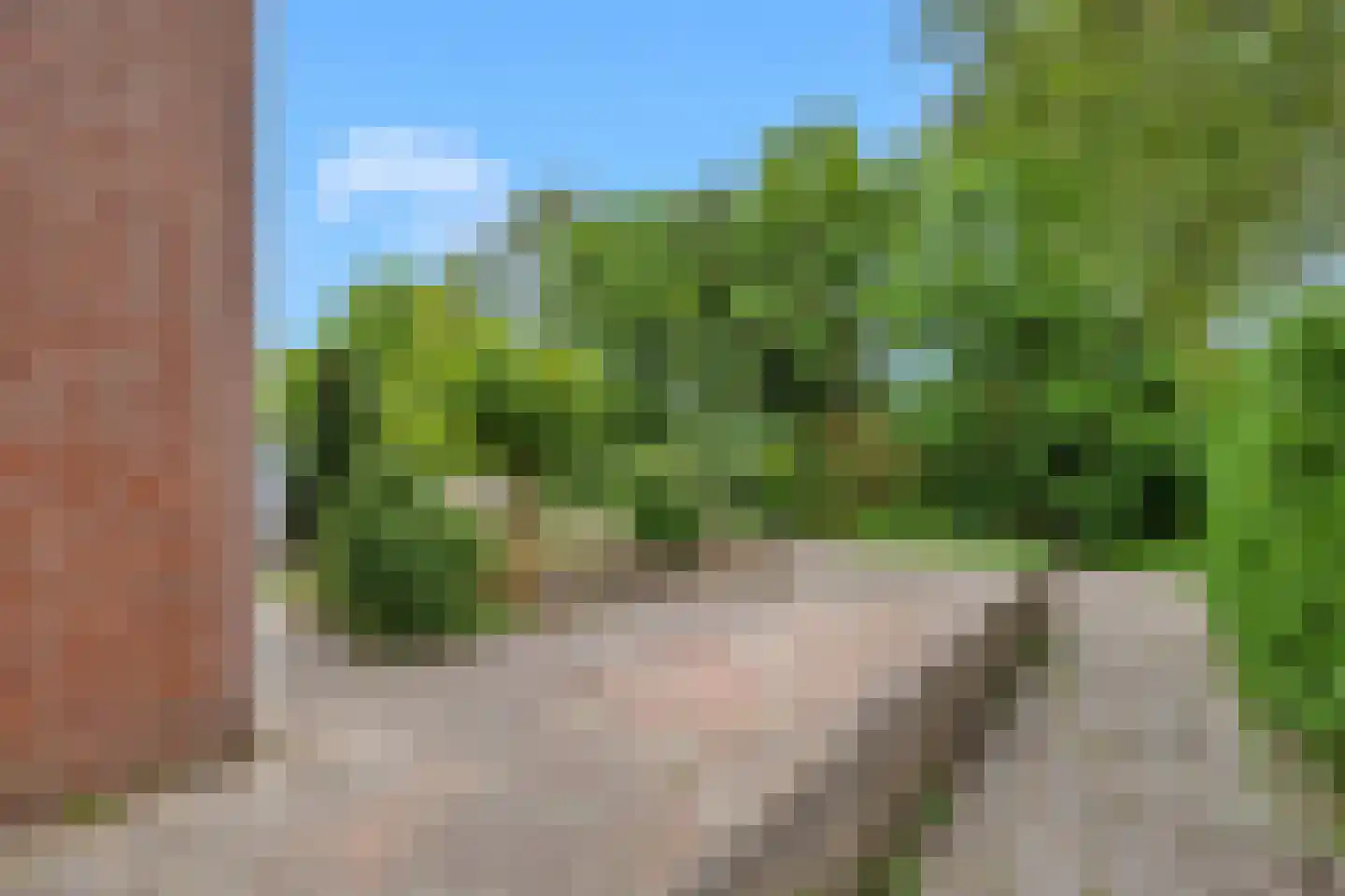 Haring 1 Hellevoetsluis thumbnail 12