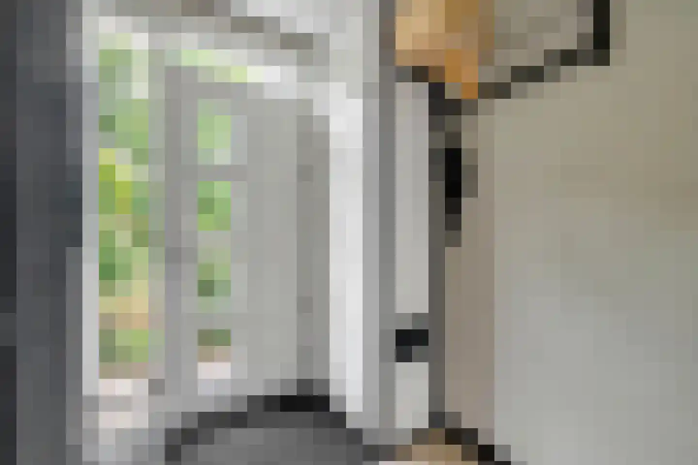 Haring 1 Hellevoetsluis thumbnail 13