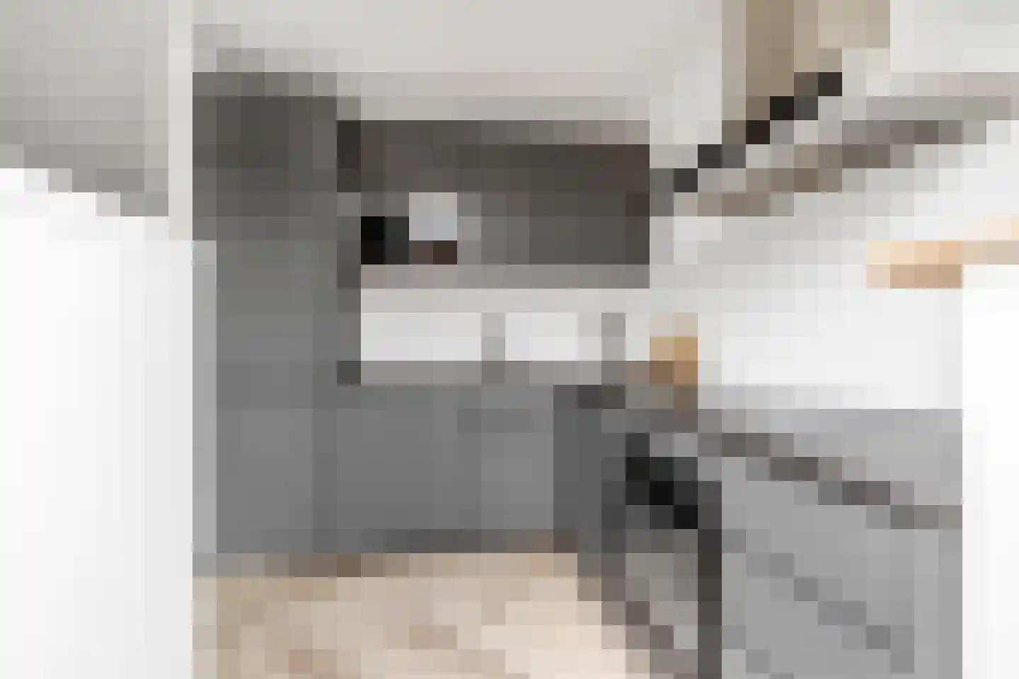 Haring 1 Hellevoetsluis thumbnail 22