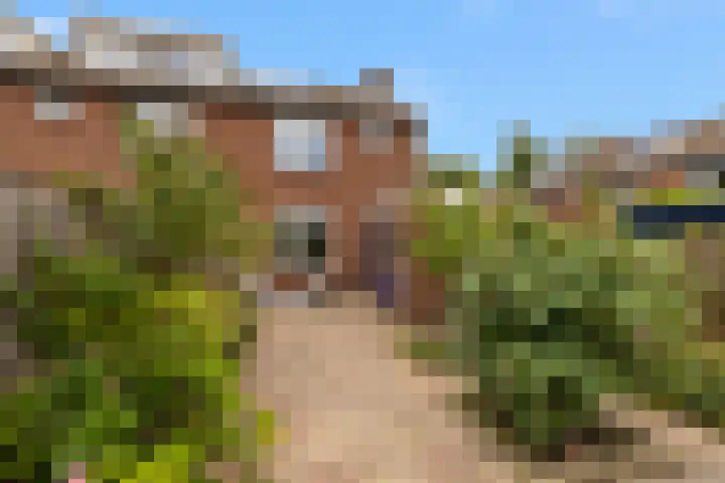 Haring 1 Hellevoetsluis thumbnail 25