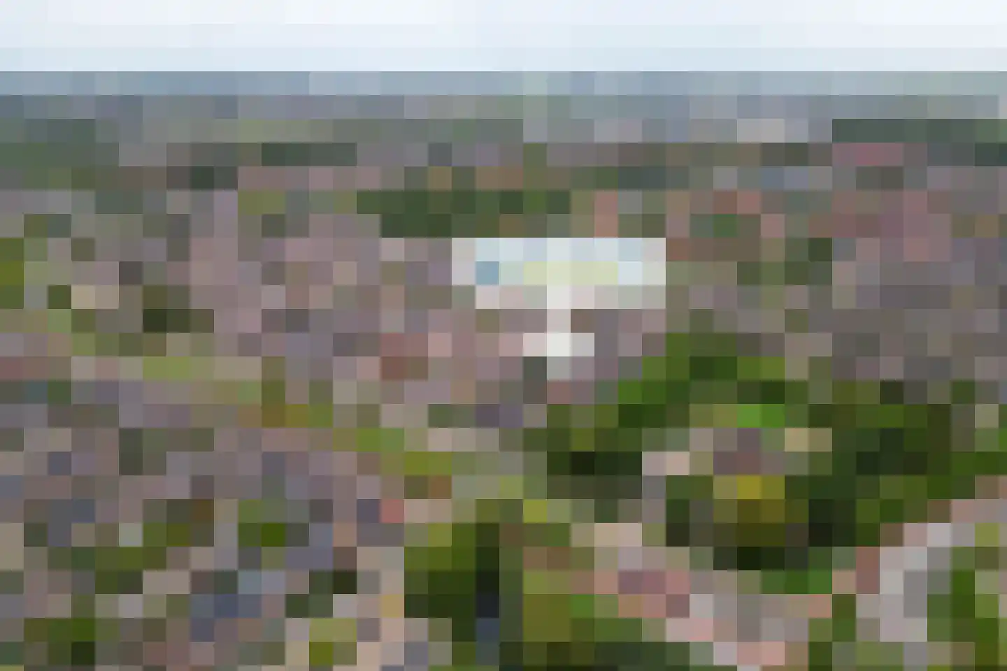Haring 1 Hellevoetsluis thumbnail 44