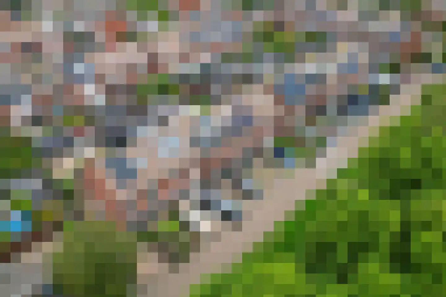 Haring 1 Hellevoetsluis thumbnail 47