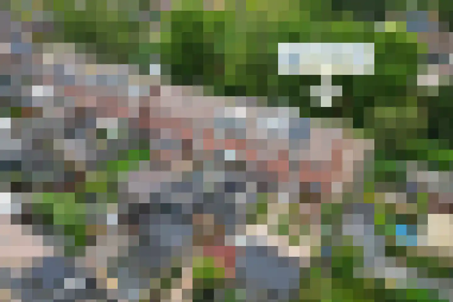 Haring 1 Hellevoetsluis thumbnail 7