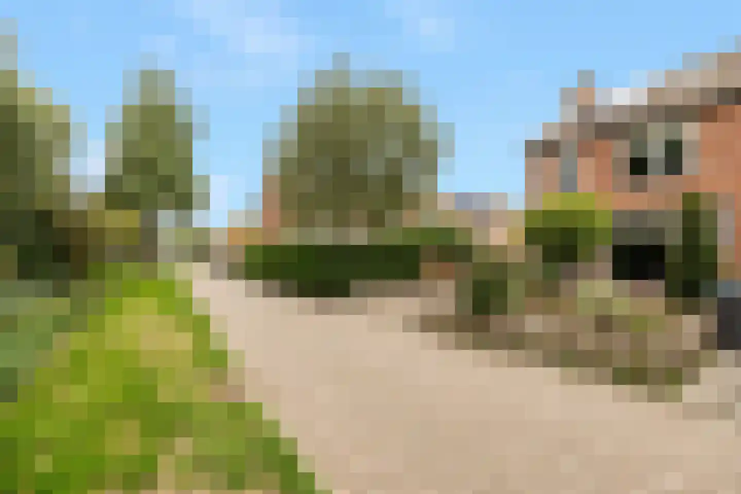 Haring 1 Hellevoetsluis thumbnail 8