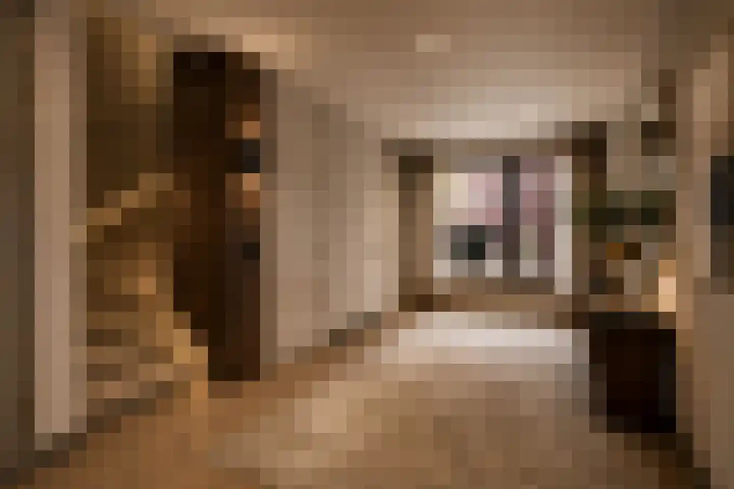 Haring- en zoutsteeg 43 Vlaardingen thumbnail 5