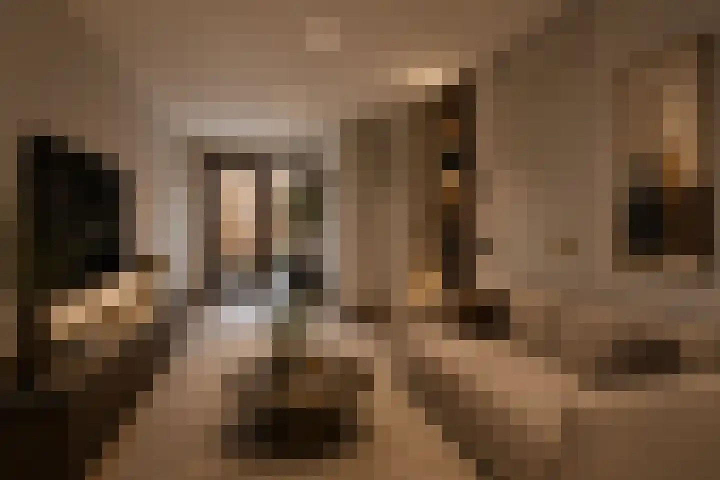 Haring- en zoutsteeg 43 Vlaardingen thumbnail 8