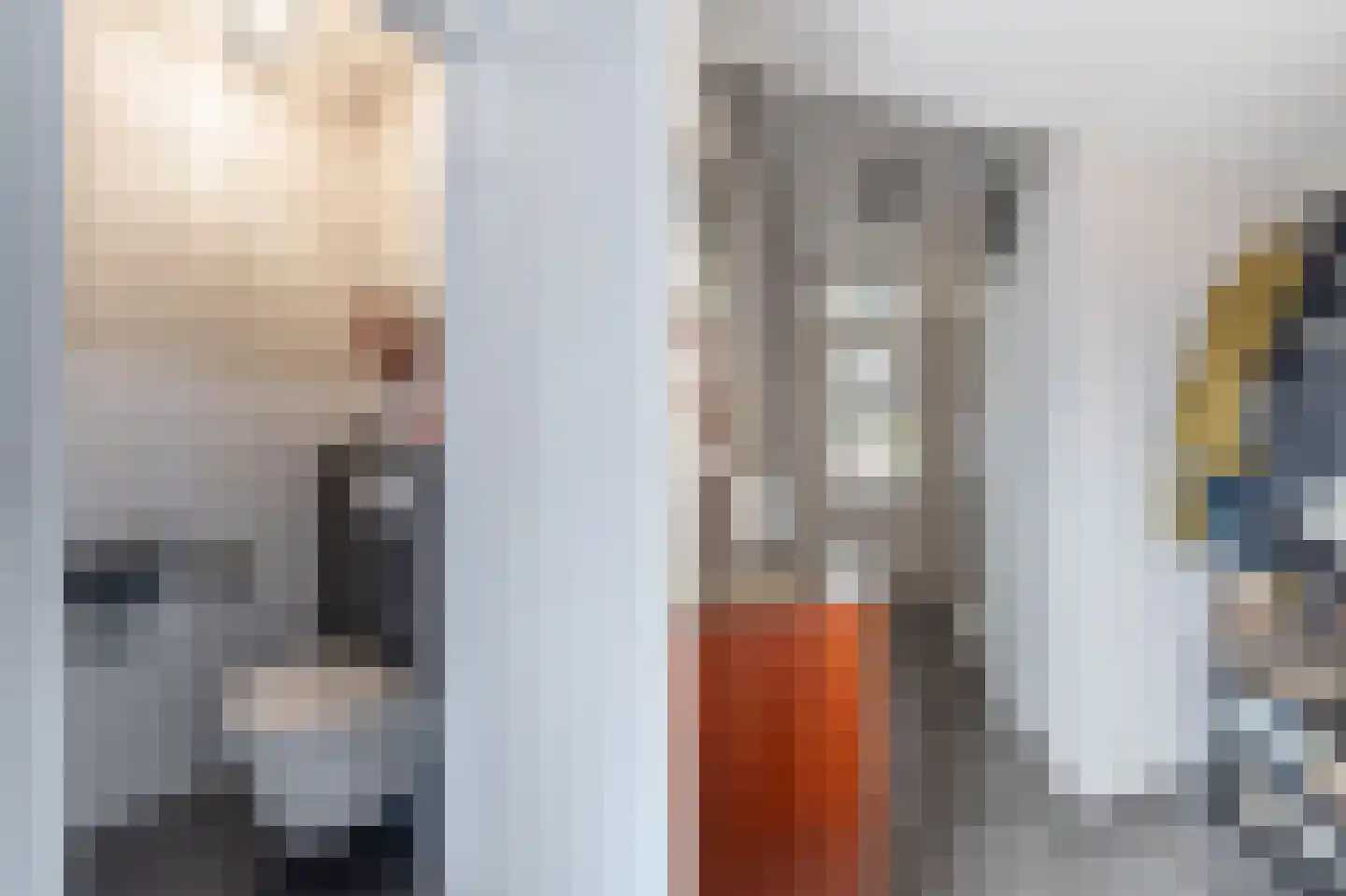 Haringbuis 112 De Rijp thumbnail 12