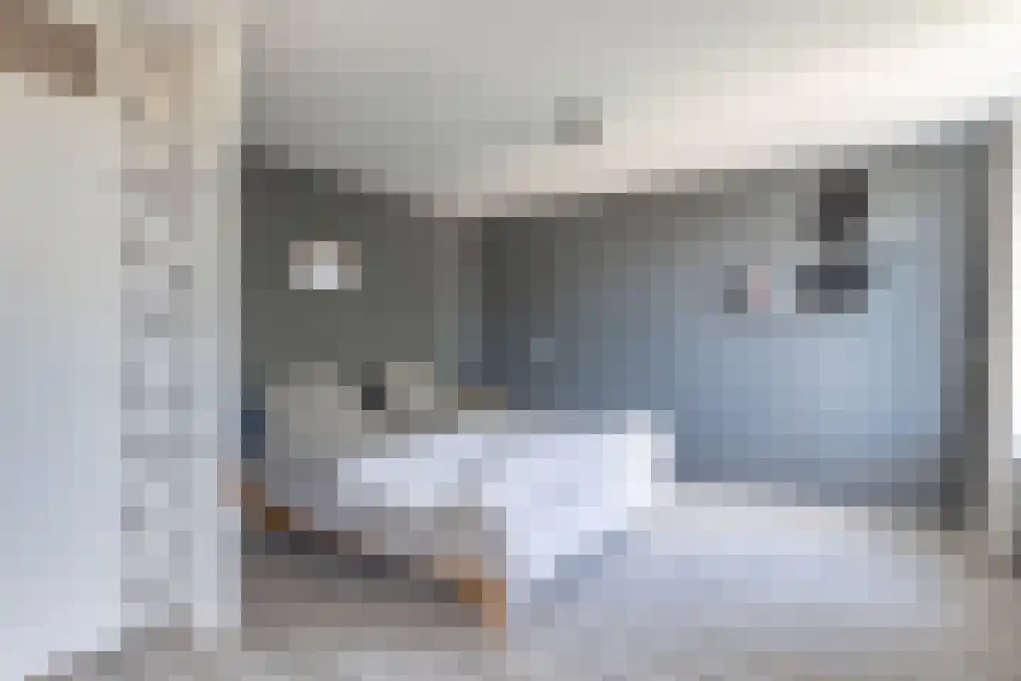 Haringbuis 112 De Rijp thumbnail 13