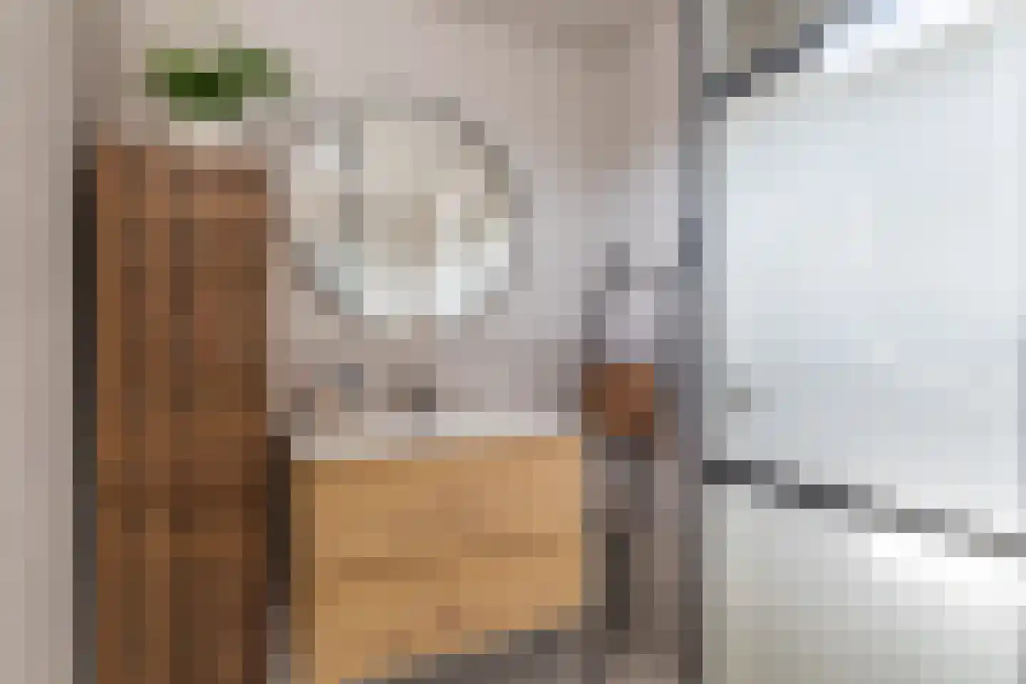 Haringbuis 112 De Rijp thumbnail 17