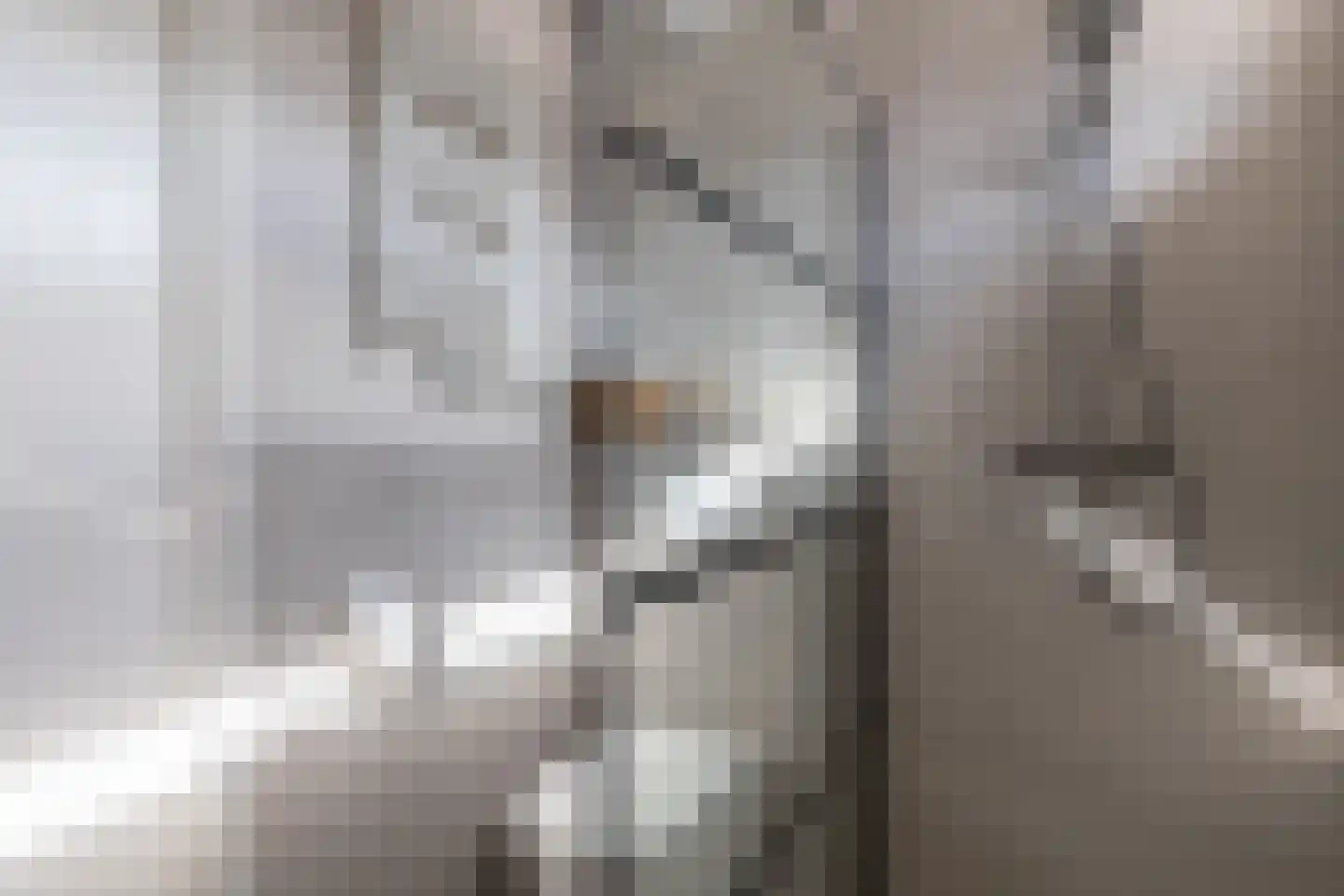 Haringbuis 112 De Rijp thumbnail 19
