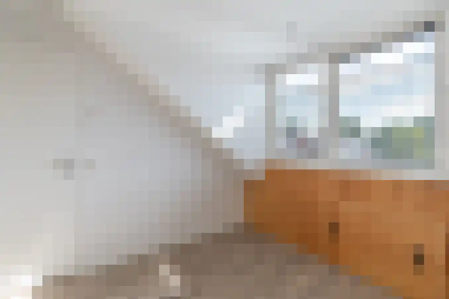 Haringbuis 112 De Rijp thumbnail 29