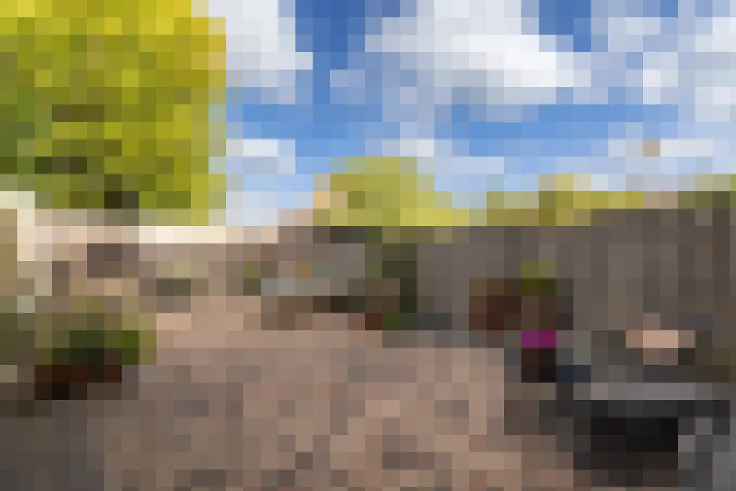 Haringbuis 112 De Rijp thumbnail 38