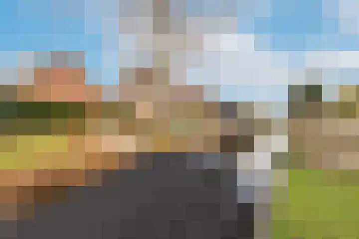 Haringbuis 58 De Rijp thumbnail 45