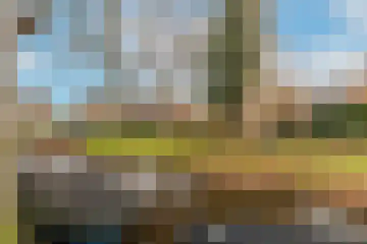 Haringbuis 58 De Rijp thumbnail 46