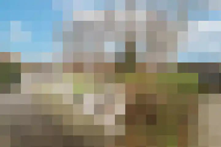 Haringbuis 58 De Rijp thumbnail 47