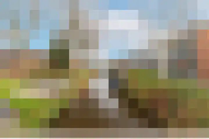Haringbuis 58 De Rijp thumbnail 48